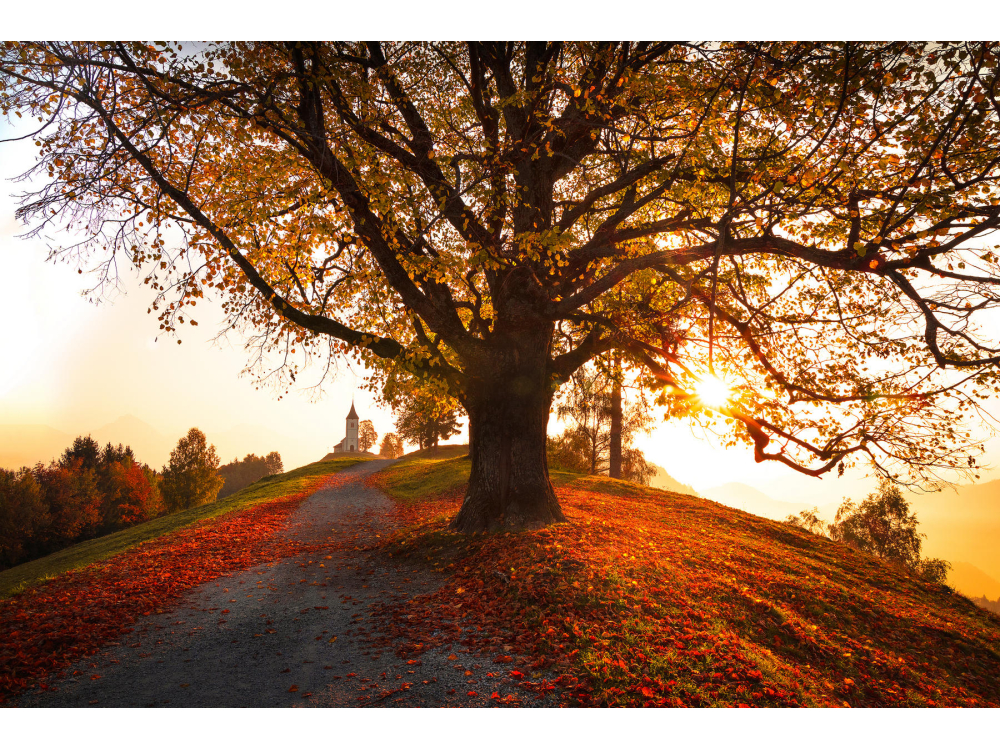 Echoes of Autumn [H]