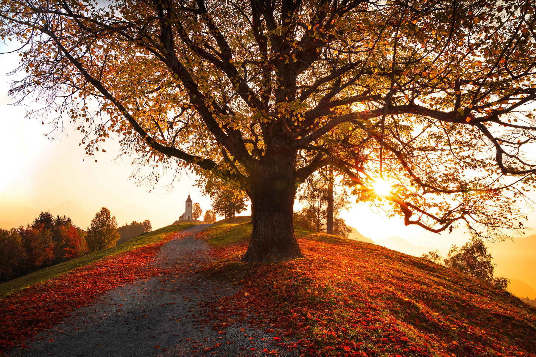 Echoes of Autumn [H]